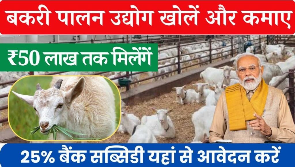 Goat farming Yojana 2024: बकरी पालन के लिये बिना झंझट के 50 लाख रुपए तक का लोन प्राप्त करें, यहां से आवेदन करें